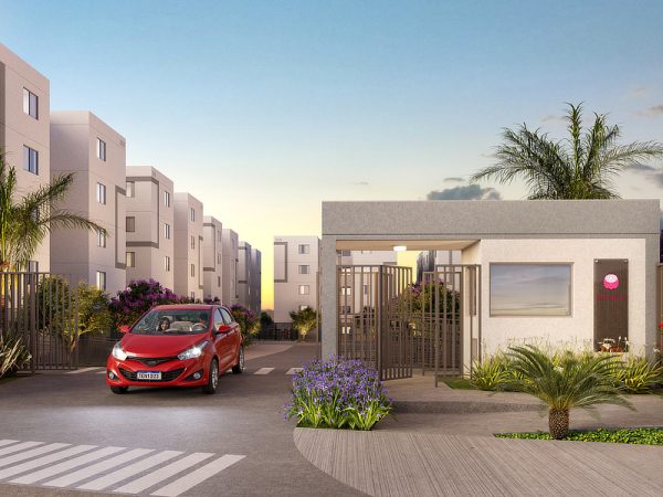 JARDIM PEÔNIA – PACIÊNCIA – MINHA CASA MINHA VIDA,